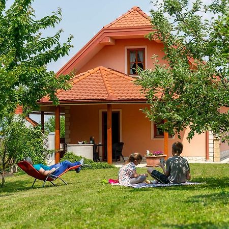 Planinca -Hisa Z Razgledom Apartment Smarje pri Jelsah Luaran gambar