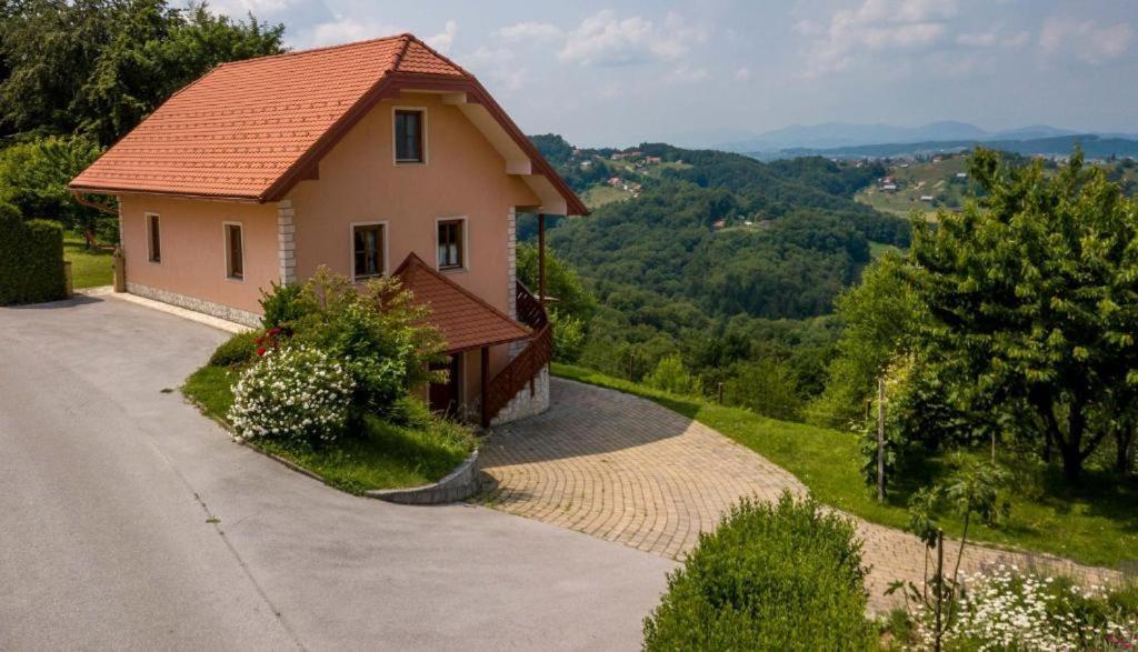 Planinca -Hisa Z Razgledom Apartment Smarje pri Jelsah Luaran gambar