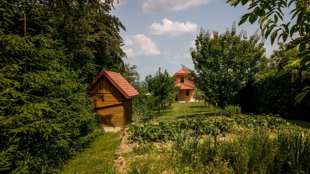 Planinca -Hisa Z Razgledom Apartment Smarje pri Jelsah Luaran gambar