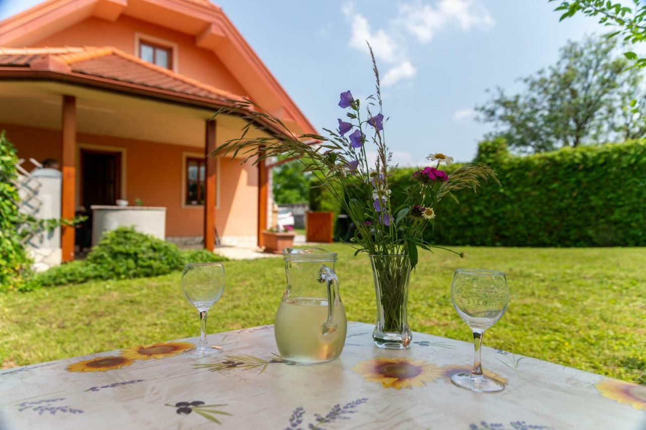 Planinca -Hisa Z Razgledom Apartment Smarje pri Jelsah Luaran gambar
